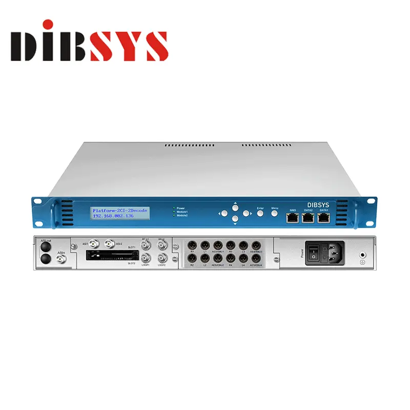 multi channel audio decoder for satellite cable and terrestrial TV network