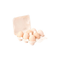 Boîte à œufs en pulpe de bagasse naturelle, 6 compartiments, biodégradable, en fibre de canne à sucre, pour l'emballage d'œufs de poule frais