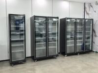 Vitrine Réfrigérée Commerciale de Grande Capacité, Style Supermarché, pour la Présentation et la Vente en Gros de Boissons