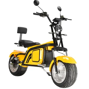 FLJ Drop Shipping In Europe And Australia Dual Disc Brake 14 Inch Tire 10000W Engine Electric Scooter With Removable Battery