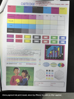 Compatibele Riso Comcolor FW1230R FW2230R FW5000R FW5231R FW5230R inktcartridge, OEM China pigmentinkt, type FW5230R