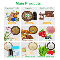 Fruiterco Vente en gros CAS 9050 99% DE 15-20 Maltodextrine en poudre de qualité alimentaire Maltodextrine