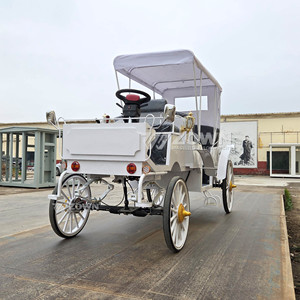 Carroza Eléctrica para Turismo, con Motor a Batería, para Bodas, Lugares Turísticos, Parques de Atracciones, Jardines - Product Image 6