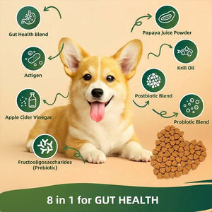 OEM/ODM Etiqueta Privada masticable perro gato suplementos calidad probióticos para el apoyo inmunológico digestivo mascota cuidado de la salud para mascotas - Product Image 3