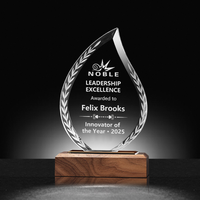 Trophées personnalisés en cristal de noyer et prix commémoratifs en bois pour la reconnaissance des employés Prix annuels Honneurs d'excellence
