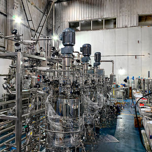 Alta calidad estándar de la UE automático 100L 300L GMP taller bomba Motor y PLC biorreactor fermentador precios - Product Image 6