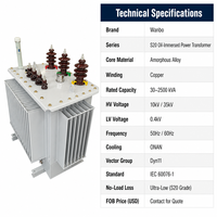 Transformateur de puissance immergé dans l'huile Wanbo-486 S20 à noyau en alliage amorphe, à perte ultra-faible, avec enroulement en cuivre ONAN, 10kV 35kV