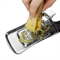 Ustensiles de cuisine : Mini râpe manuelle en acier inoxydable en forme de cuillère pour gingembre, wasabi, moutarde, broyeur de pâte d'ail, et pour purée de carotte