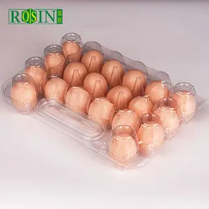 L'usine offre directement des conteneurs d'emballage à clapet pour œufs de caille à 20 trous plateau à œufs transparent en plastique avec poignée