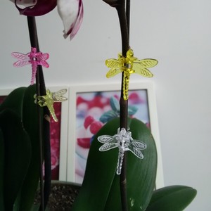 Garden Plant Fixing <b>Clips</b> Mini Plastic Vine Support <b>Clips</b> For Home Gardening Easily Assembled - Product Image 4