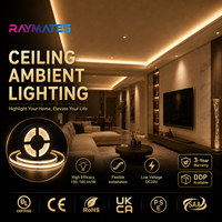 Bande LED COB à haute efficacité, dimmable, ultra-lumineuse, 24 V, à haut lumen, super efficace pour les hôtels, les présentoirs de vente au détail, les luminaires linéaires