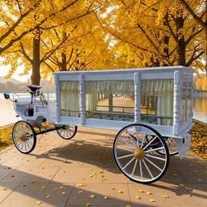 Nouvelle Voiture Funéraire Électrique de Luxe et Exquise, Style Personnalisable, et Carrosse Funéraire à Chevaux – Offre Spéciale à Vendre - Product Image 1