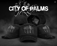 Gorras Personalizadas con Cierre, Gorras Trucker de Hatters Co, Nuevas Gorras de Béisbol con Logotipo 3D Bordado Era York y Forro de Satén