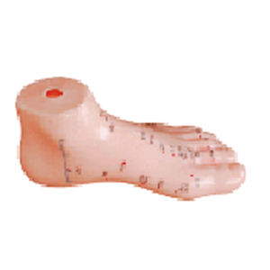 BIX-Y1023 17CM PVC <span class=keywords><strong>Model</strong></span> kaki akupunktur untuk latihan sekolah medis CPR maneken dengan pijat kaki - Product Image 1