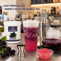 Fournisseur de Bubble Tea, Usine Source, Marque Internationale Dayou, Concentré aromatisé à la mûre de 1,2 kg avec pulpe pour les magasins de thé au lait