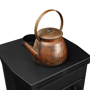 Estufa <span class=keywords><strong>de</strong></span> <span class=keywords><strong>Leña</strong></span> para el Hogar CE EN16510 R0801A <span class=keywords><strong>de</strong></span> 8.9kW, Chimenea <span class=keywords><strong>de</strong></span> Acero Moderna <span class=keywords><strong>de</strong></span> Alta Calidad <span class=keywords><strong>sin</strong></span> Humo para Hervir Agua - Product Image 3