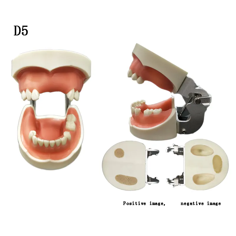 Dental implant practice Oral implant operation training model