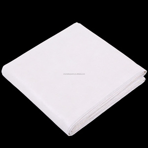 Bâche en PE enduite imperméable 180G, auvent de jardin blanc résistant à la pluie, <span class=keywords><strong>voile</strong></span> <span class=keywords><strong>d</strong></span>'<span class=keywords><strong>ombrage</strong></span> extérieur, anti-statique, anti-UV, tissée, pour voiture, animaux domestiques, chien, maison - Product Image 1