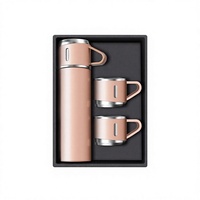 Coffret Cadeau Promotionnel d'Entreprise : Bouteille Isotherme en Acier Inoxydable Personnalisable avec Logo – Vente en Gros de Bouteilles d'Eau Isothermes Sous Vide