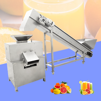 304 RVS sapcentrifuge, dubbele rollerpers, verse calamansi, limoen en citroenpers, sapcentrifuge, extractor