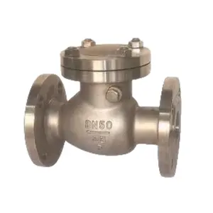 Factory ANSI150 DIN Cl150cast/CF8/CF8m/Wcb/Forged Non-Return Lift Swing Flanged Stainless Steel Check Valve
