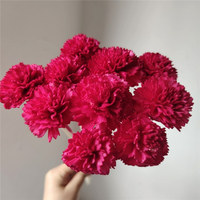Vente en gros d'oeillets en bois Sola personnalisés fleur de diffuseur artificielle écologique pour la fête des mères et la décoration de remise des diplômes emballés dans des sacs
