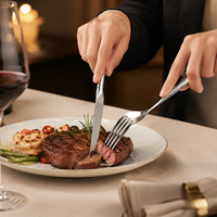 Ensemble de couverts en acier inoxydable 304 pour hôtels et restaurants, cuillères, fourchettes, couteaux, vaisselle