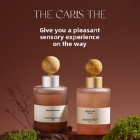 Désodorisant de voiture haut de gamme moderne à fixer sur le siège, aux huiles essentielles de rose, parfum longue durée, élimination des odeurs