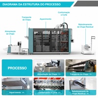 Solution de fabrication entièrement automatique de contenants alimentaires en plastique, ligne de production de machines de thermoformage pour contenants à dessert en plastique