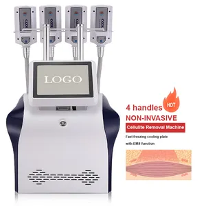 2024 Cryo EMS Plaques Tampons Fat Réduire Machine 360 Cryoskin Cool Freeze Fat Burning avec EMS Cryolipolysis Minceur Machine