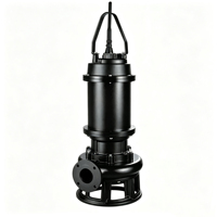 Bomba Sumergible para Aguas Residuales 50WQ10-10-0.75, 0.37kW-550kW, con Agitador, Bomba Industrial de Alta Resistencia para Aguas Residuales, Servicio OEM