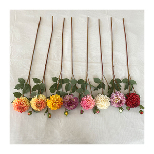 <span class=keywords><strong>Chrysanthème</strong></span> Tianzhu 2 têtes bon marché pour décoration de mariage <span class=keywords><strong>chrysanthème</strong></span> de haute qualité - Product Image 5