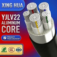 Câble d'alimentation blindé en aluminium XLPE PVC 0,6/1 kV Yjlv22, conducteur en aluminium, 2/3/4/5 conducteurs