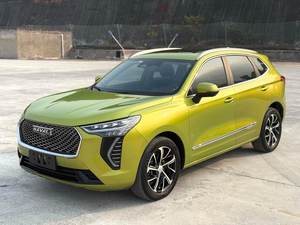 SUV Compatto Usato Completamente Accessoriato: Haval First Love Dasiban 2021, 1.5T Turbo, Tutte le Funzionalità e Design Moderno - Product Image 2