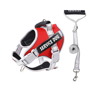 Ensemble laisse et harnais pour chien en nylon rembourré avec fermeture à boutons, style mode, pour grandes races, entraînement, randonnée, plusieurs couleurs - Product Image 2