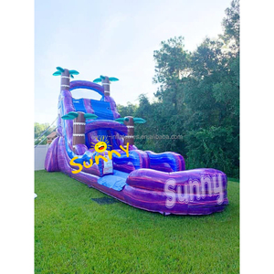 <span class=keywords><strong>Toboggan</strong></span> aquatique <span class=keywords><strong>gonflable</strong></span> de qualité commerciale <span class=keywords><strong>avec</strong></span> <span class=keywords><strong>piscine</strong></span>, grand <span class=keywords><strong>toboggan</strong></span> aquatique <span class=keywords><strong>gonflable</strong></span> en forme de palmier à double piste, à vendre - Product Image 4