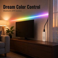 Contrôleur LED SP110E APP, contrôleur LED APP DC5-24V, large plage de tension, 120 motifs, prend en charge les circuits intégrés à un ou deux fils, jusqu'à 1024 pixels, sortie 4A, portée 30M