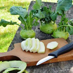 Couve-rábano Super Derretimento Vegetal Jardim Semear Pacote Planta Kit Moderno Interior/Exterior para Casa Jardim Sementes para Plantio - Product Image 2