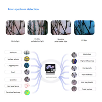 L'analyseur de cuir chevelu intelligent ABS Ai de qualité industrielle analyse professionnellement et objectivement treize problèmes de cuir chevelu