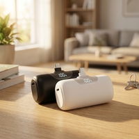 Lot de 2 mini-batteries externes portables 5000 mAh Li-Polymère avec écran LCD et charge rapide pour iPhone 17/16/15 et Android