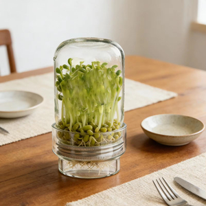 Kit de culture de pousses de haricot mungo en gros, germeur de comptoir réutilisable, système de germination domestique pour la cuisine - Product Image 6