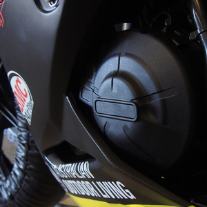 Pour Kawasaki Z300/Z250/<span class=keywords><strong>Ninja300</strong></span>/Ninja250 moteur couvre protecteurs ABS plastique motos moteur couverture Protection étui - Product Image 2