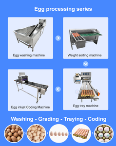 Máquina para Imprimir en Huevos con Precio Bajo, Impresora de Inyección de Tinta de Formato Ancho para Huevos/Máquina para Sellar Huevos con Fecha de Caducidad - Product Image 3