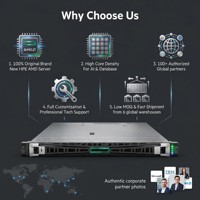 Nuevo Servidor en Rack HPE ProLiant DL325 Gen11 1U, AMD EPYC 9124 de un Solo Socket, 32GB DDR5 NVMe, Virtualización, Servidor en Rack para la Nube