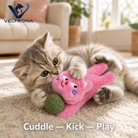 Jouet à mâcher à la catnip pour chats, jouet à mordre en peluche à la catnip avec boule suspendue, tissu duveteux, visage brodé