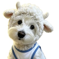 Chapeau pour chien en peluche mignon en forme de petite brebis avec cornes bouclées, accessoire photo pour petit chien, coiffe décorative amusante