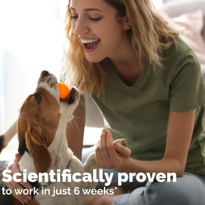 Mâcher doux de haute qualité pour chiens protection des articulations favoriser la croissance supplément pour les hanches et les articulations pour animaux de compagnie supplément pour les articulations à mâcher pour chien OEM - Product Image 5