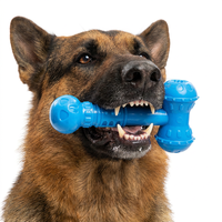 Jouet sonore interactif pour chien en nylon durable et écologique, pour le nettoyage des dents
