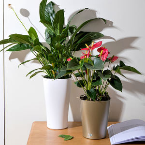 Tapis <span class=keywords><strong>de</strong></span> rempotage <span class=keywords><strong>de</strong></span> plantes imprimé personnalisé à arrosage automatique table à manger jardinières <span class=keywords><strong>de</strong></span> jardin pot <span class=keywords><strong>de</strong></span> fleur extérieur pour bureau - Product Image 4