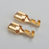Boerda – Bornes de câblage automobile à sertir en laiton étamé, connecteurs de câble carrés de 6,3 mm², 230 V, modèle DJ621-B6.3